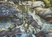 bush-creek-cropped