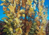 autumn-poplars
