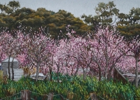 bush-orchard-ki-cropped